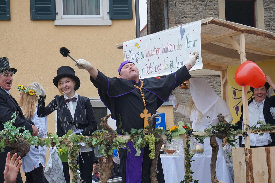 Landkreisfaschingszug 2015