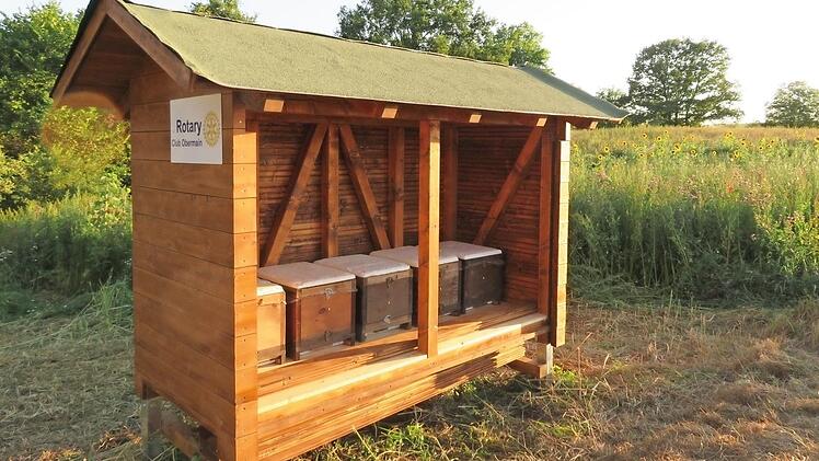 Ein Bienenhaus, das die Rotarier spendiert haben, steht direkt an der Blühwiese. Da haben es die fleißigen Pollensammler nicht weit zur Arbeit.