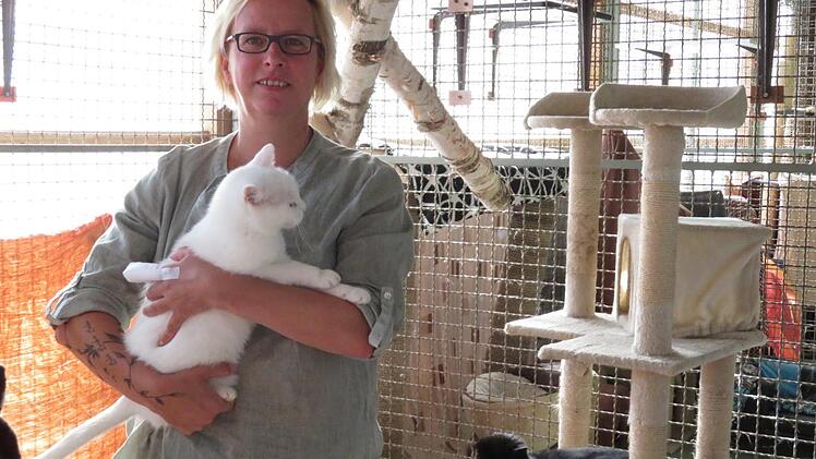 Im Katzenhaus sind derzeit 32 jüngere und ältere Tiere untergebracht - Sandra Schunk hat Flocke auf dem Arm, im Hintergrund döst die schwarze Barbara.