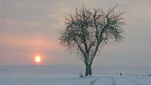 Winter im oberen Frankenwald. Ein Anblick, der immer seltener wird. Foto: Roland Sch&ouml;nm&uuml;ller