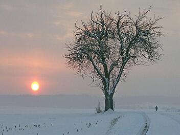 Winter im oberen Frankenwald. Ein Anblick, der immer seltener wird. Foto: Roland Schönmüller