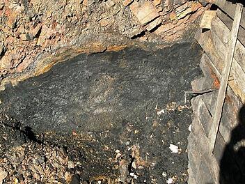 Das Stockheimer Steinkohlenbiotop eines ausstreichenden Kohlenflözes stellt eine Rarität in Bayern dar. Die 290 Millionen Jahre alte Steinkohle muss vor Witterungseinflüssen geschützt werden.  Foto: Fleischmann