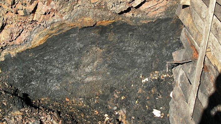 Das Stockheimer Steinkohlenbiotop eines ausstreichenden Kohlenflözes stellt eine Rarität in Bayern dar. Die 290 Millionen Jahre alte Steinkohle muss vor Witterungseinflüssen geschützt werden.  Foto: Fleischmann