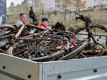 Bamberg: Wasserrettung zieht zahlreiche Fahrräder aus Main-Donau-Kanal