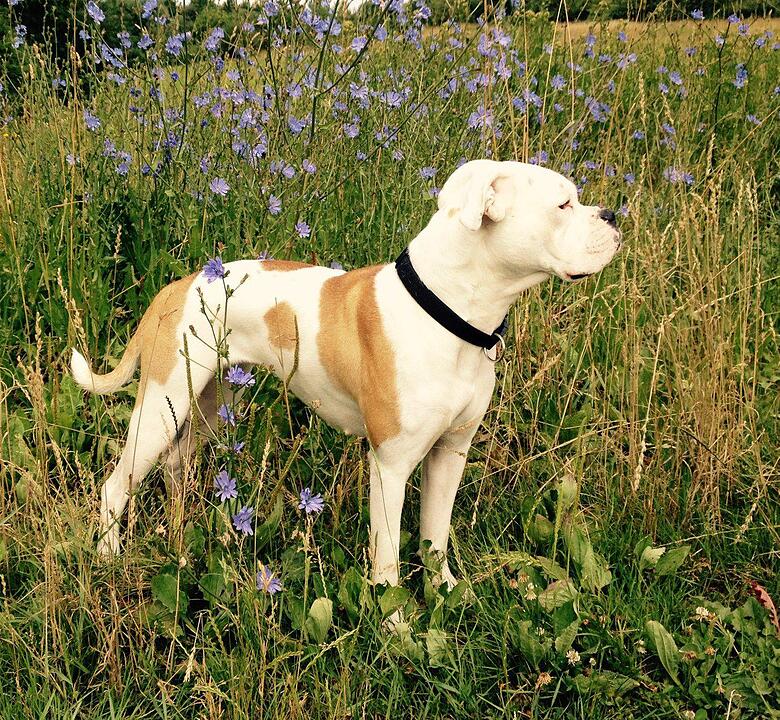 Im Sommer. Foto: georg1111