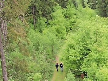 Der Frankenwald ist ein Naturpark.