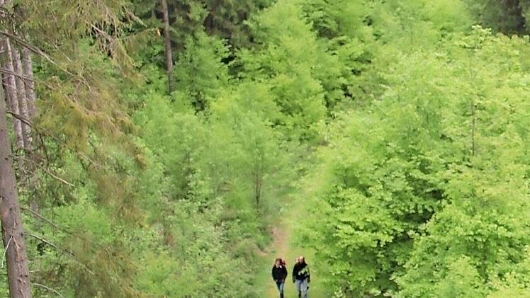 Der Frankenwald ist ein Naturpark.