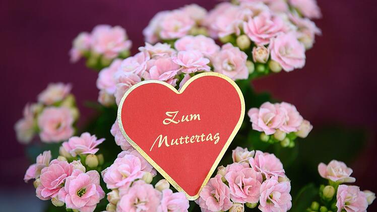 Coburg: Blumengesch&auml;fte d&uuml;rfen am Muttertag ge&ouml;ffnet haben