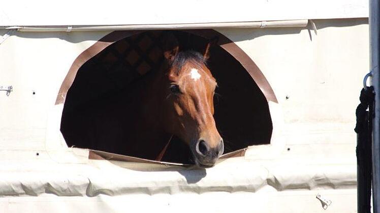 Impressionen vom Reitturnier in Detter. Foto: Sebastian Schmitt