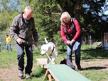 Hans Ruckdeschel leitet seit zehn Jahren seine eigene Hundeschule in Fohlenhof. Hier übt er mit Trainerin Vera Kürzdörfer und dem sechs Monate jungen Labrador-Rüden Dexter.Jochen Nützel