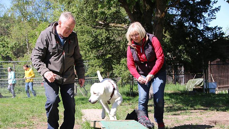 Hans Ruckdeschel leitet seit zehn Jahren seine eigene Hundeschule in Fohlenhof. Hier übt er mit Trainerin Vera Kürzdörfer und dem sechs Monate jungen Labrador-Rüden Dexter.Jochen Nützel