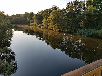 Lichtenfels: Blaualgen im Main