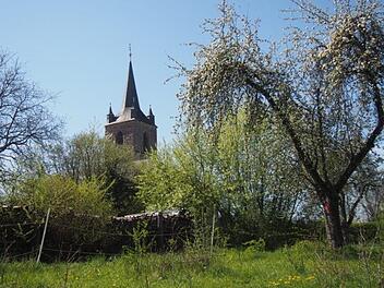Die Streuobstbestände in unmittelbarer Umgebung des Friedhofs und der Pfarrkirche St. Martin will das Bürgerbegehren  erhalten.    Foto: Martin Endt/Bürgerbegehren