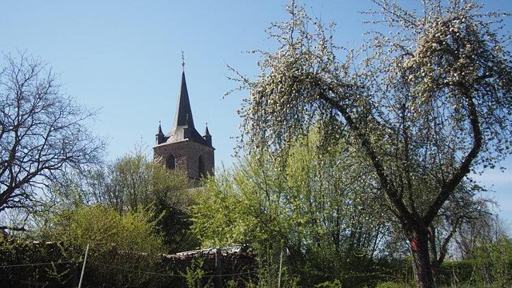 Die Streuobstbestände in unmittelbarer Umgebung des Friedhofs und der Pfarrkirche St. Martin will das Bürgerbegehren  erhalten.    Foto: Martin Endt/Bürgerbegehren