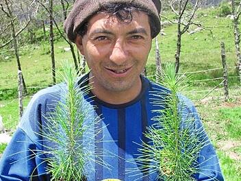 Kleinbauern in Peru pflanzen seit sieben Jahren B&auml;ume und schaffen Wald statt erodierender H&auml;nge.
