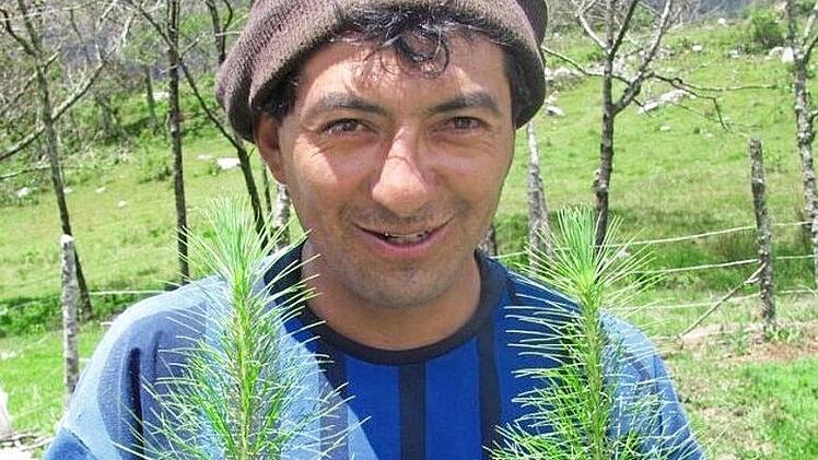 Kleinbauern in Peru pflanzen seit sieben Jahren Bäume und schaffen Wald statt erodierender Hänge.