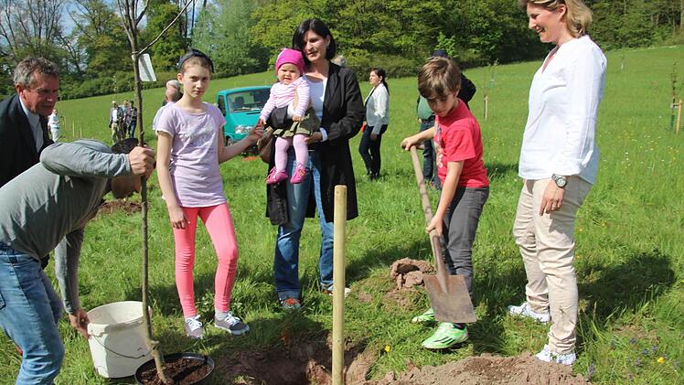 Ein Baum wurde für Elisa Rüger gepflanzt.  Foto: Veronika Schadeck