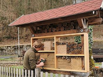 Der Naturpark-Ranger Martin Kreisel bohrt verschieden gro&szlig;e L&ouml;cher in die Lehmziegel. So haben unterschiedlich gro&szlig;e Bienen Platz f&uuml;r ihre Nester.  Foto: Melanie Chist&eacute;