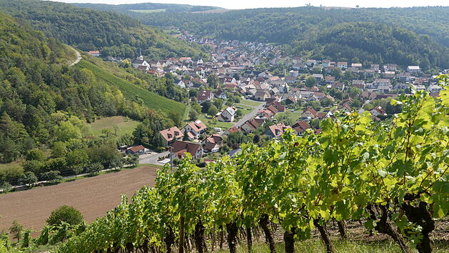 Weinbergwandern in Franken