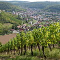 Weinbergwandern in Franken