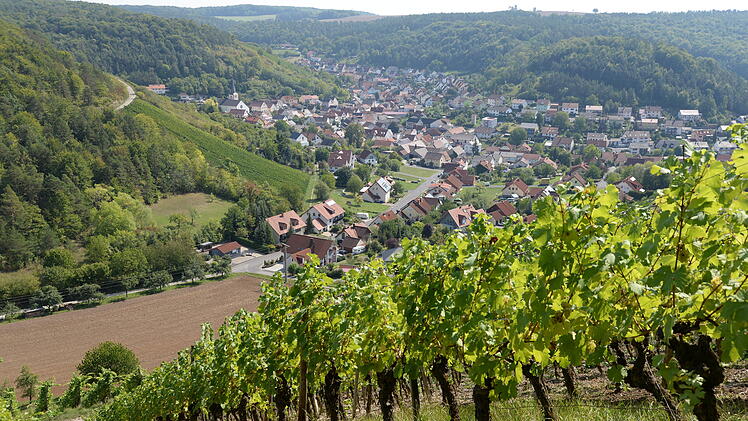 Weinbergwandern in Franken