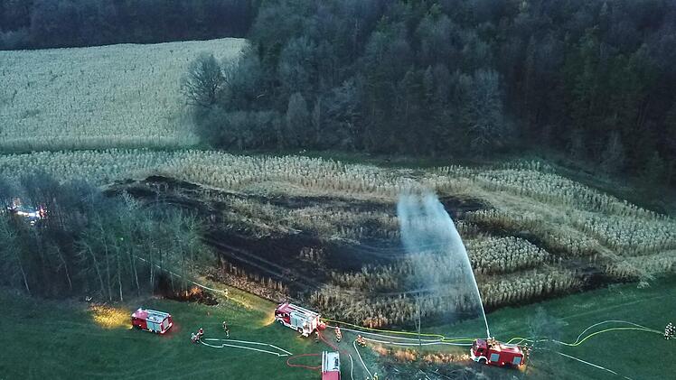 Foto: News5/Merzbach