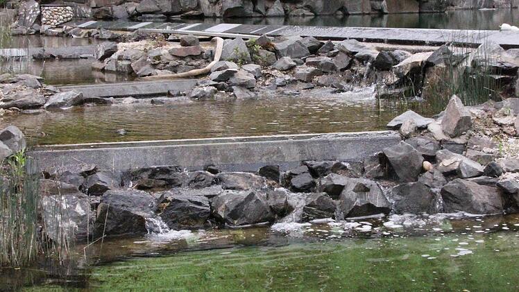 Aus dem Badeteich (rechts oben) fließt das Wasser über Kaskaden in mehrere tiefer liegende kleinere Becken und wird dadurch schon vorgereinigt.  Foto: Friedwald Schedel