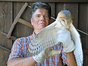 Wendelin Mangold präsentiert eine der sieben jungen Schleiereulen: Das Tier ist schon deutlich größer als seine Geschwister und wird wohl in Kürze flügge werden.  Fotos: Manfred Mellenthin