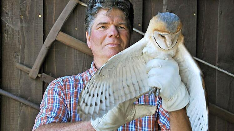Wendelin Mangold präsentiert eine der sieben jungen Schleiereulen: Das Tier ist schon deutlich größer als seine Geschwister und wird wohl in Kürze flügge werden.  Fotos: Manfred Mellenthin