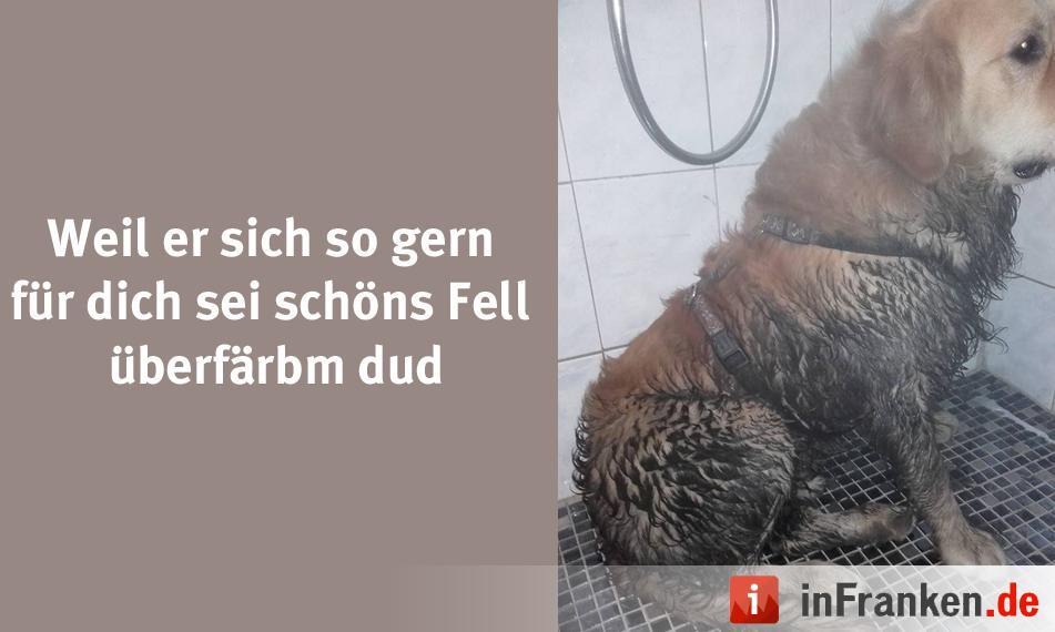Foto: Michaela Zehner