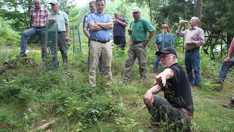 Durch die Waldinitiative Frankenwald sind in den letzten Jahren am Losauer Berg drei neue Rückewege gebaut worden und vorhandene Wege instandgesetzt worden. Foto: Sonny Adam