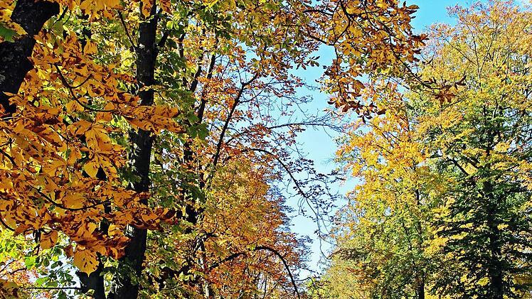 Herbst in Pommersfelden. Foto: Tobias Stich