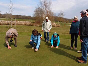 Greenkeeper Reinhard Michalk (rechts) erklärt die verschiedenen Graslängen auf einem Golfplatz. Beeindruckend sind die nur wenige Millimeter langen Halme auf den Grüns. Fotos: Anton Then
