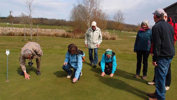 Greenkeeper Reinhard Michalk (rechts) erklärt die verschiedenen Graslängen auf einem Golfplatz. Beeindruckend sind die nur wenige Millimeter langen Halme auf den Grüns. Fotos: Anton Then