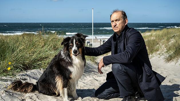 Chefermittler Sievers (Peter Heinrich Brix) findet in "Nord Nord Mord - Sievers und der verlorene Hund" einen herrenlosen Australian Shepherd am Sylter Strand. Auf der Insel werden gerade Hund vermisst - und ein Bestsellerautor wurde mit Pfeil und Bogen erlegt.