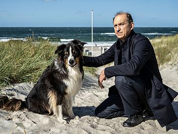 Chefermittler Sievers (Peter Heinrich Brix) findet in "Nord Nord Mord - Sievers und der verlorene Hund" einen herrenlosen Australian Shepherd am Sylter Strand. Auf der Insel werden gerade Hund vermisst - und ein Bestsellerautor wurde mit Pfeil und Bogen erlegt.