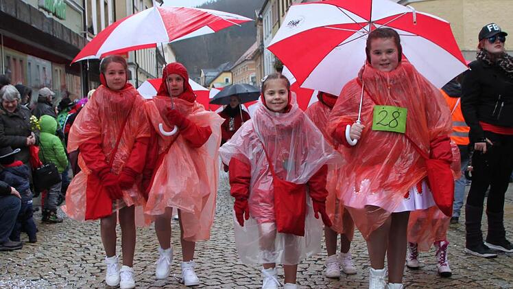 Faschingszug in Bad Brückenau 2016 Foto: Ulrike Müller