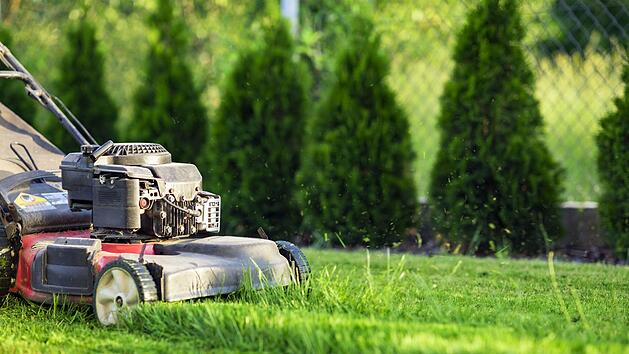 Foto: Mariusz Blach - stock.adobe.com
