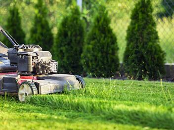 Foto: Mariusz Blach - stock.adobe.com