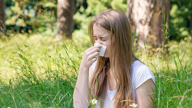 Heuschnupfen, Pollen, Allergie