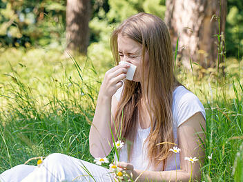 Heuschnupfen, Pollen, Allergie