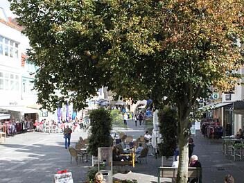 Einige Stadträte möchten diesen Baum am Marktplatz erhalten wissen. Foto: Mäuser