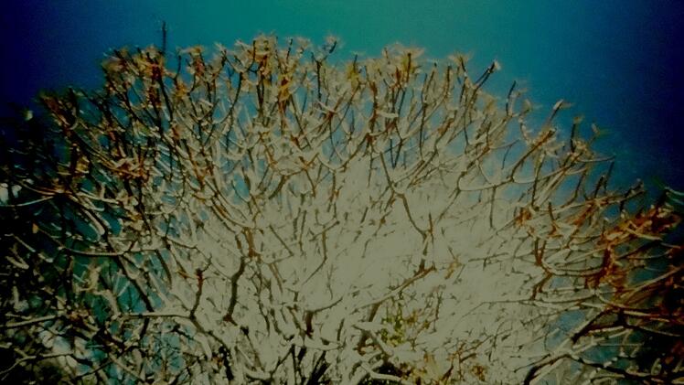 Nürnberg: Fotografieausstellung „Günter Derleth – …. immer viel Licht!“