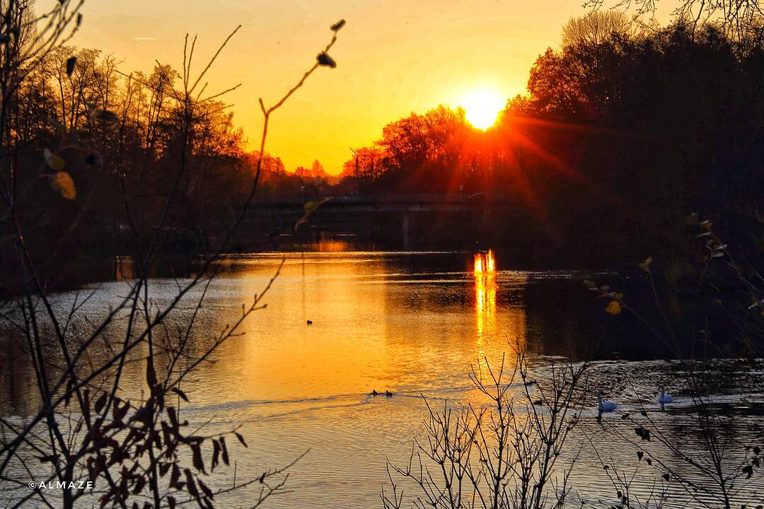 Die schönsten Fotos im November aus Bamberg und Umgebung