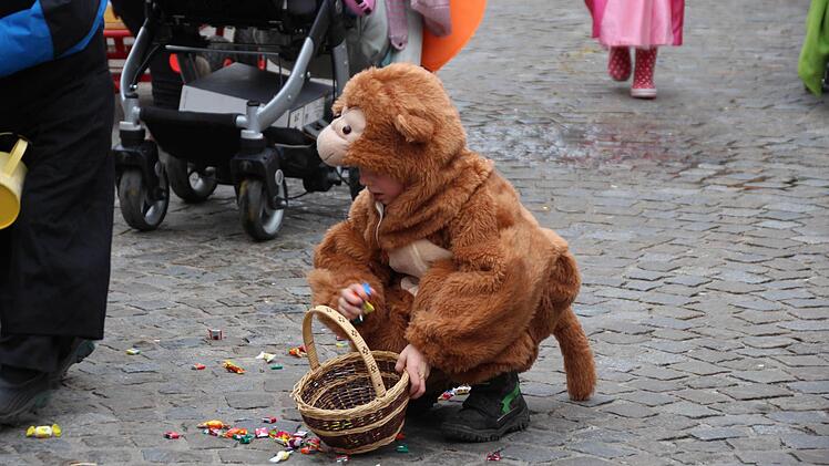 Der Faschingsumzug in Höchstadt war auch 2017 wieder sehr gut besucht. Foto: Franziska Rieger