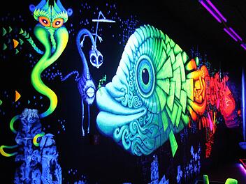 Außerirdische Wesen, Monsterchen, Fische wie von einem anderen Stern... all das gibt es in der Schwarzlichtfabrik zu bestaunen.  Fotos: Diana Fuchs