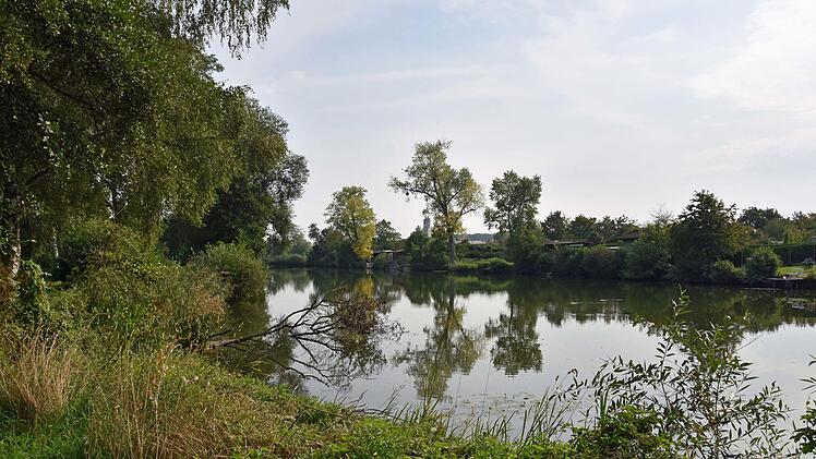 Der Anglersee "Löchle" und der See an der Lehmgrube (im Bild) sollen künftig schon im Juni belüftet werden, um ein Umkippen der Gewässer zu verhindern. Foto: Ulrike Langer