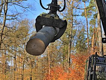 Man könnte meinen, der Stamm wäre ein Streichholz - so leicht wird er mit der Zange des Rückezuges bewegt.Helmut Will