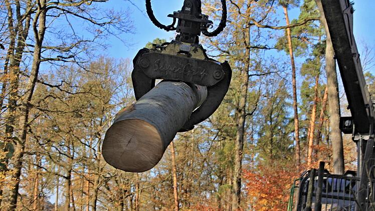 Man könnte meinen, der Stamm wäre ein Streichholz - so leicht wird er mit der Zange des Rückezuges bewegt.Helmut Will