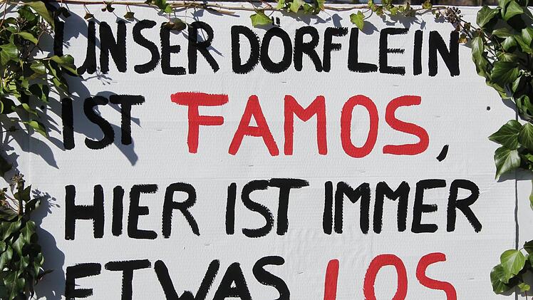 Faschingsumzug in Steinach. Foto: Werner Vogel